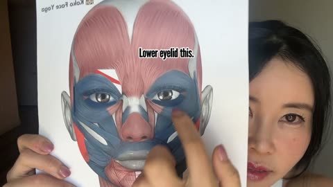 How to make eyes bigger naturally