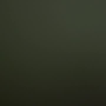 Narcissism in adult family members