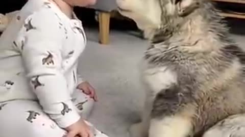 Transform Your Dog Walks in Just Minutes!