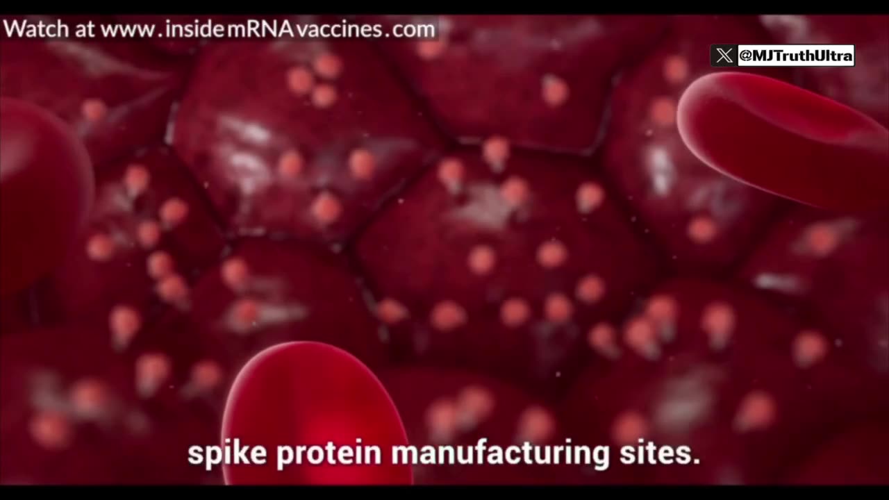 They turned their bodies into manufacturing powerhouses of foreign spike proteins.