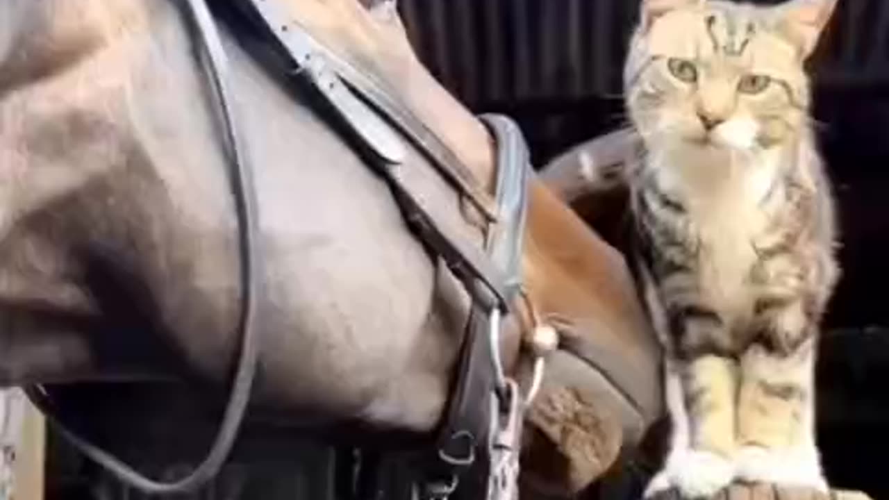 Tylko miłość ❤️