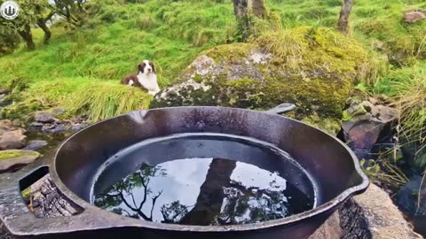 Eat in nature