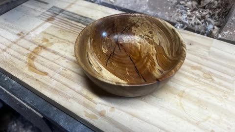 SYCAMORE AND EPOXY BOWL SHORT