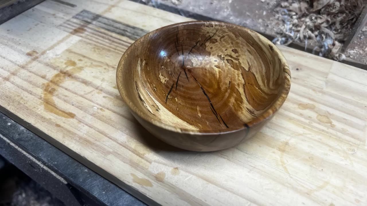SYCAMORE AND EPOXY BOWL SHORT