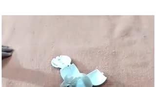 Masterball for Pikachu