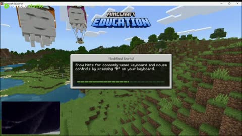 Minecraft Stream