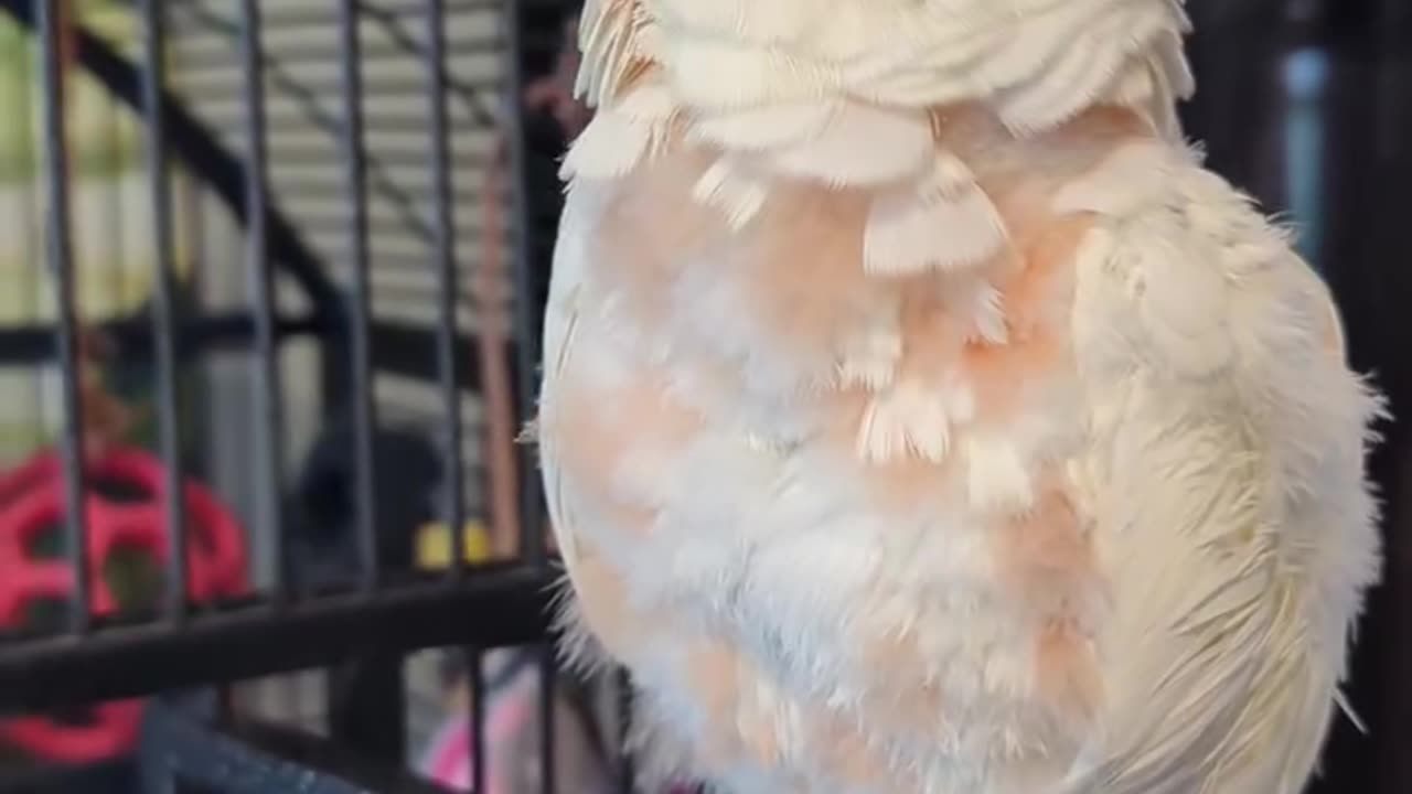 "Mind Your Own Business!"