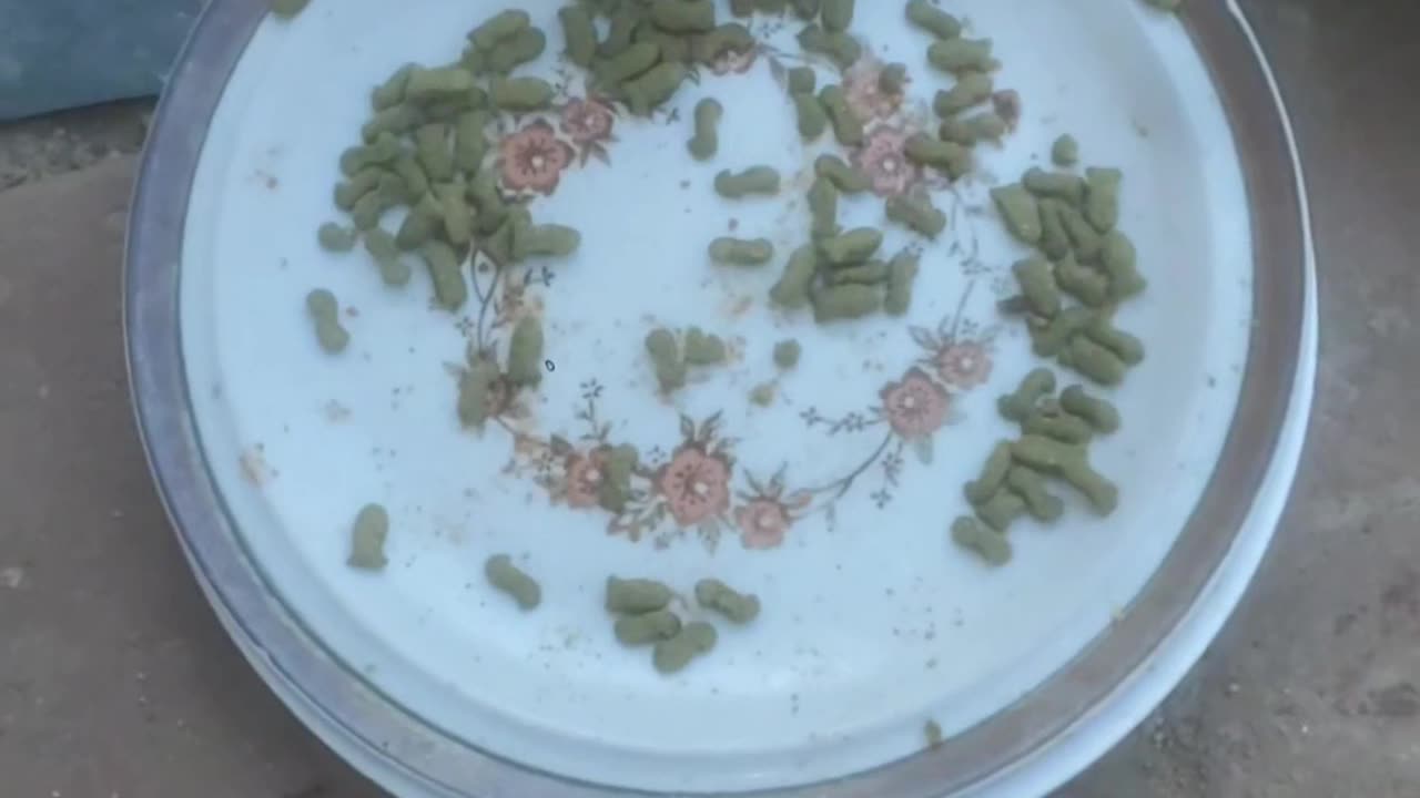 Cats don't like the green cat food?...