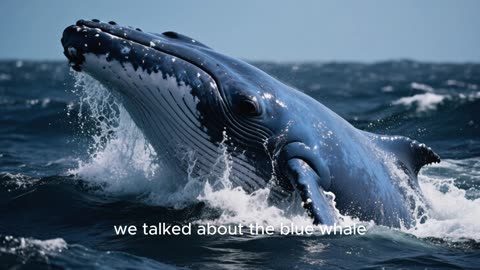 Journey to the Deep Ocean: What Lies Beneath