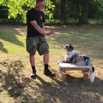 Structured Play Games Training and Practice short B 6