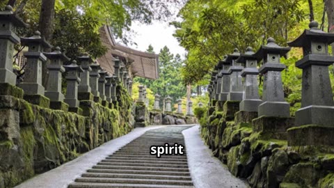 Hidden Temples of Shikoku: 88 Pilgrimage Showcase #travel #explore #history #shikoku #shikoku88