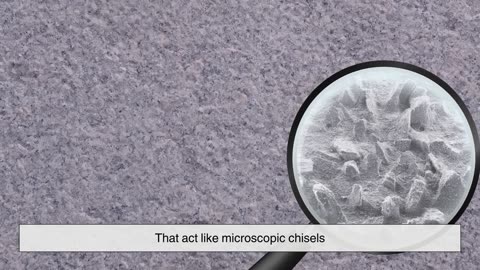 Understanding How Sandpaper Works and Shapes Surfaces