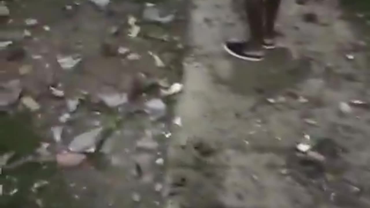 🚨 Atentado con explosivos en Cali deja 3 policías y 4 civiles heridos, incluidos dos niños.