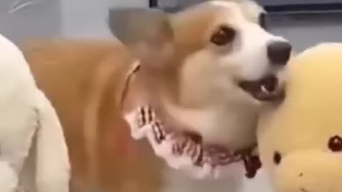 Funny