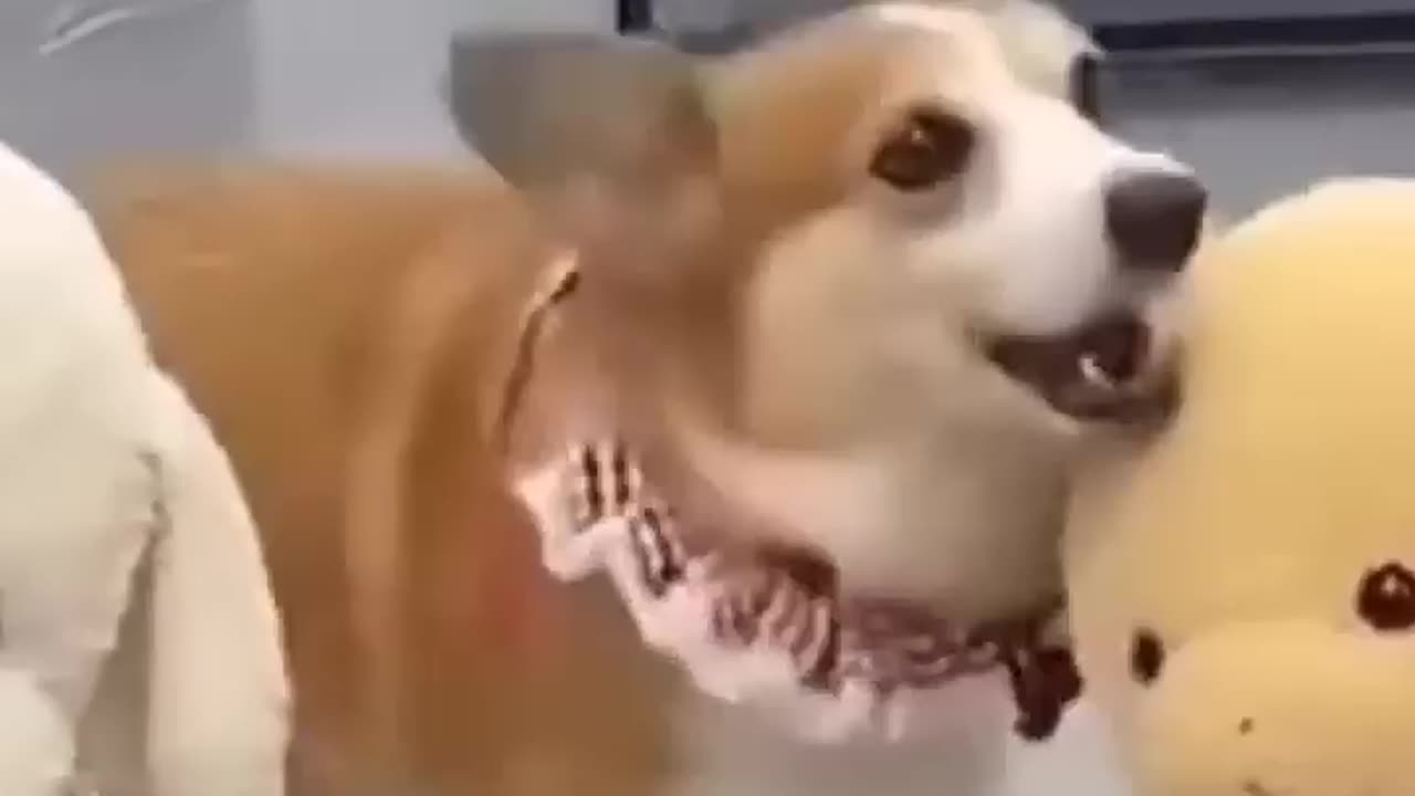 Funny