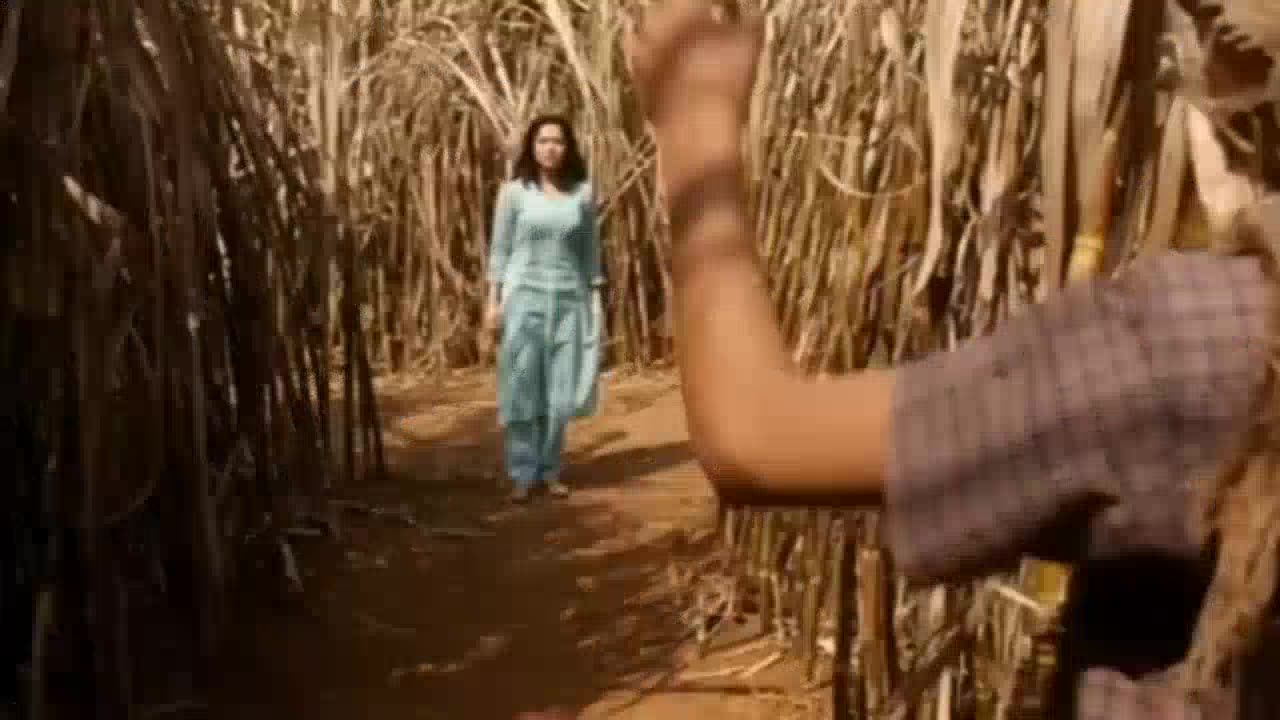 Chhorii 2 ¦ 2025 Movie ¦ Movie Explained In Hindi