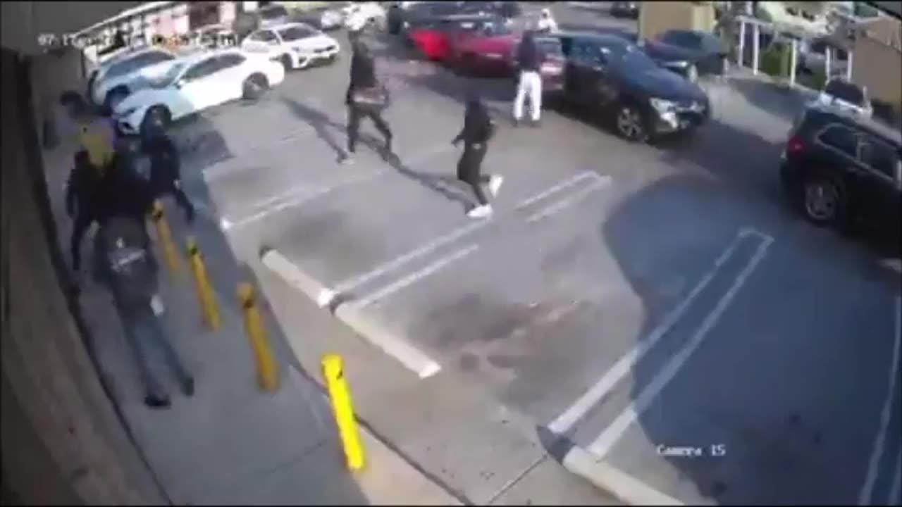 Blacks Attempt Mass Heist at CA Jewelry Store But Scatter Like Roaches When Fired Upon