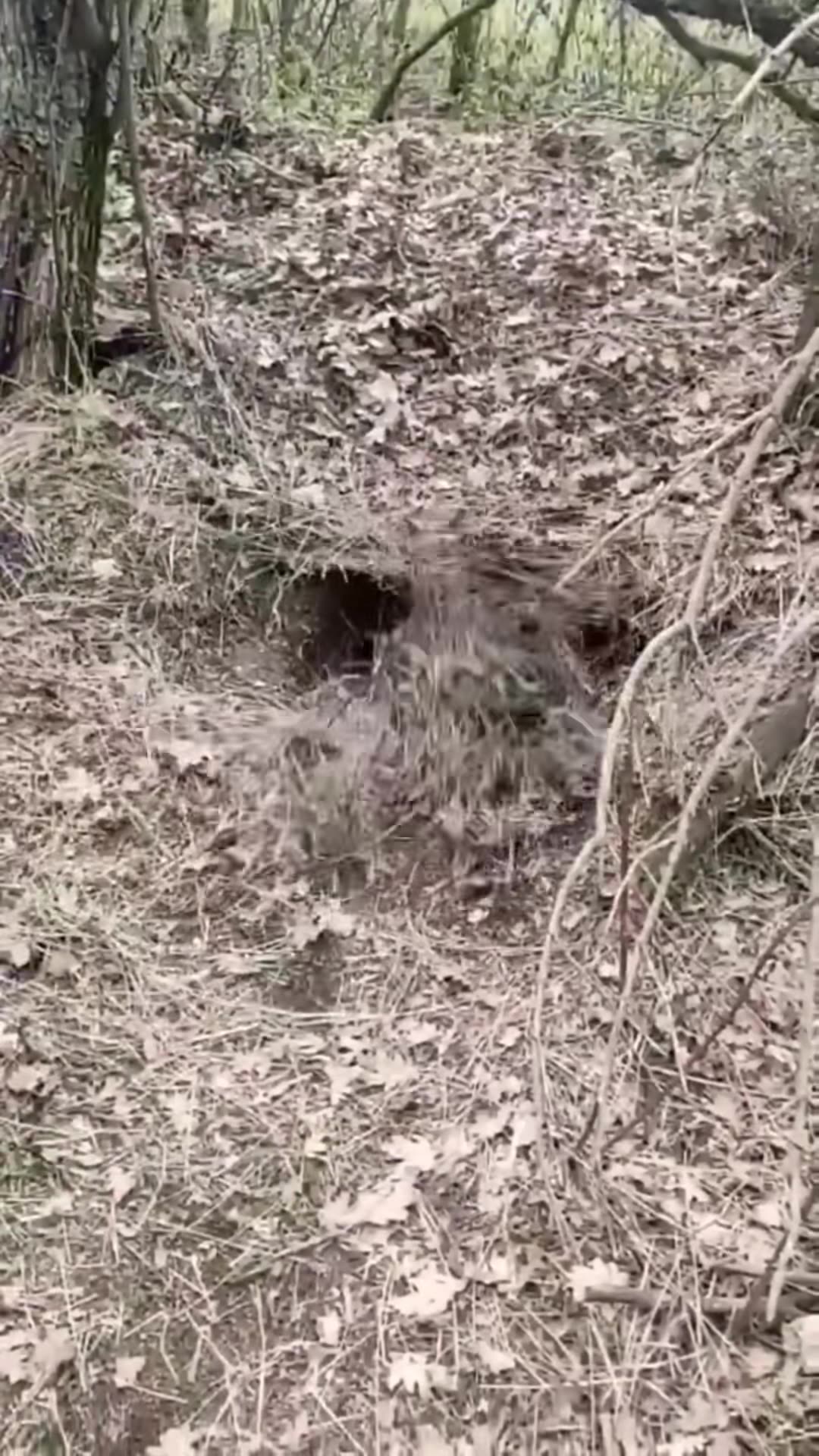 😨🤯 Wrong Place at the Wrong Time! Terrifying Encounter Caught on Camera | TheHauntingHour