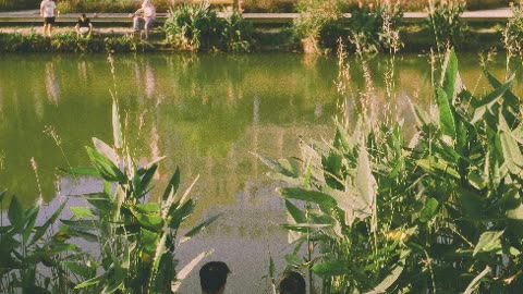 Wild Sailor [Instrumental]