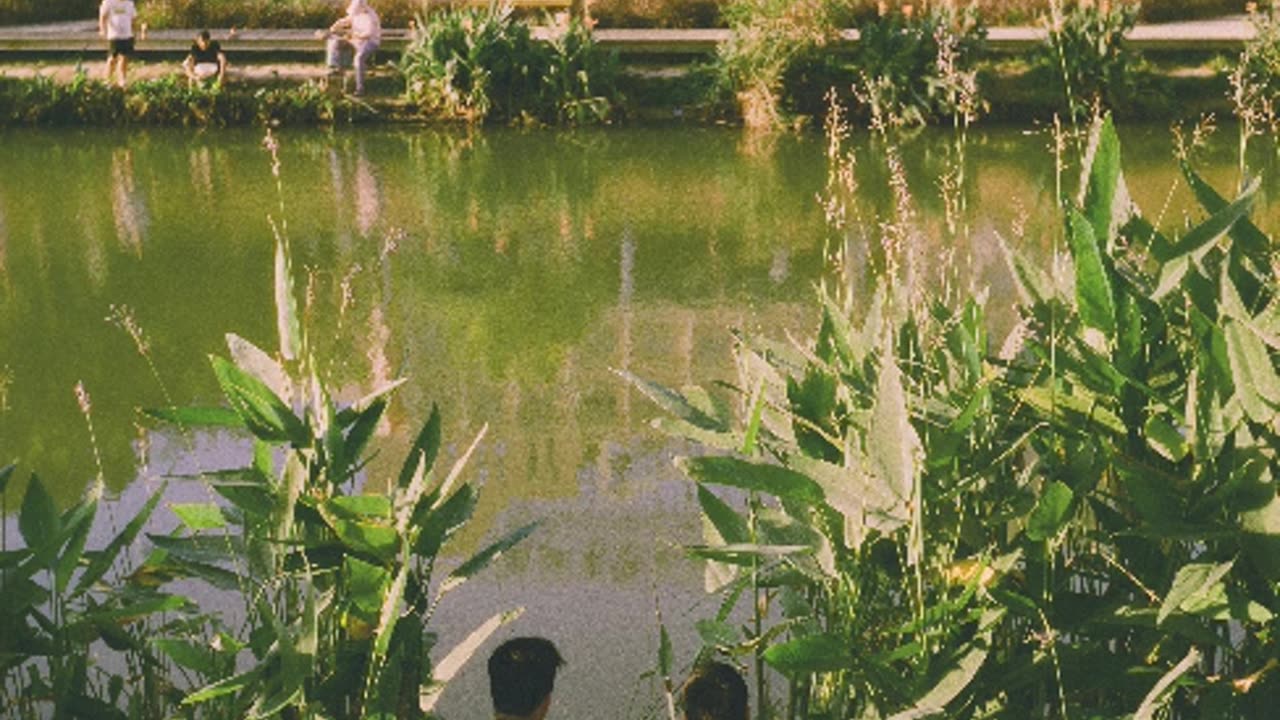 Wild Sailor [Instrumental]