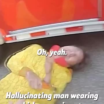 Man tells cops: "I don't know if I am a chicken"