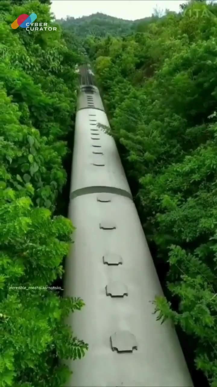 Train Through the Jungle 🌳🚂 Nature’s Hidden Railway 🌿