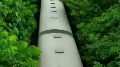 Train Through the Jungle 🌳🚂 Nature’s Hidden Railway 🌿