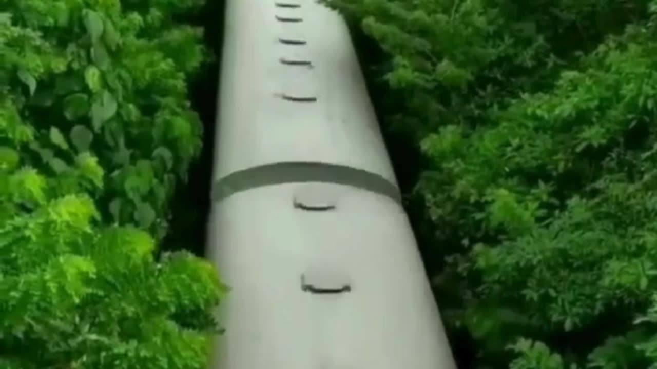 Train Through the Jungle ๐ณ๐ Natureโs Hidden Railway ๐ฟ