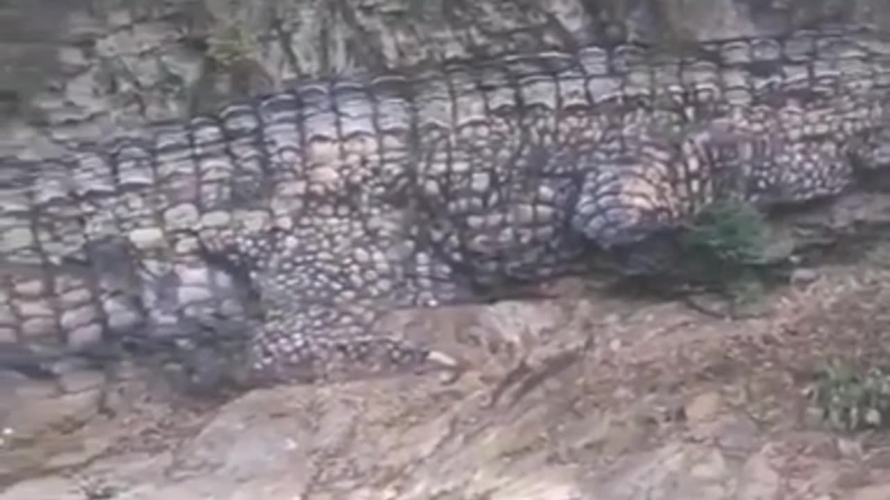 rock crock