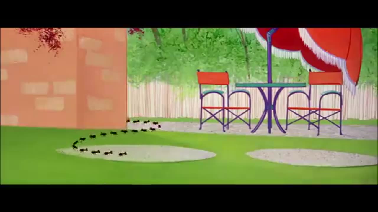 Tom & Jerry – Classic Cat and Mouse Chase! 🐱🐭 | Funny Cartoons for Kids