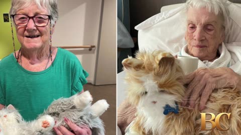 Robot pets help care home dementia patients