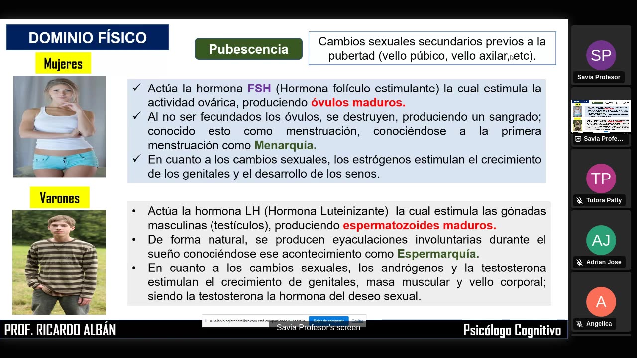 SAVIA SEMIANUAL 2024 | Semana 14 | Psicología