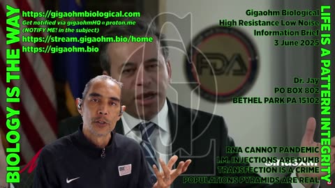 Gigaohm Biological High Resistance Low Noise Information Brief