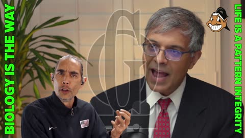 Gigaohm Biological High Resistance Low Noise Information Brief