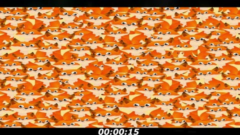 Squirrel puzzle: Can you find the squirrel? Take your time, he is there...