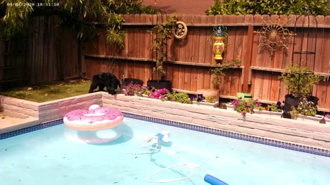 MacInerny takes on THE DREADED POOL SKIMMER