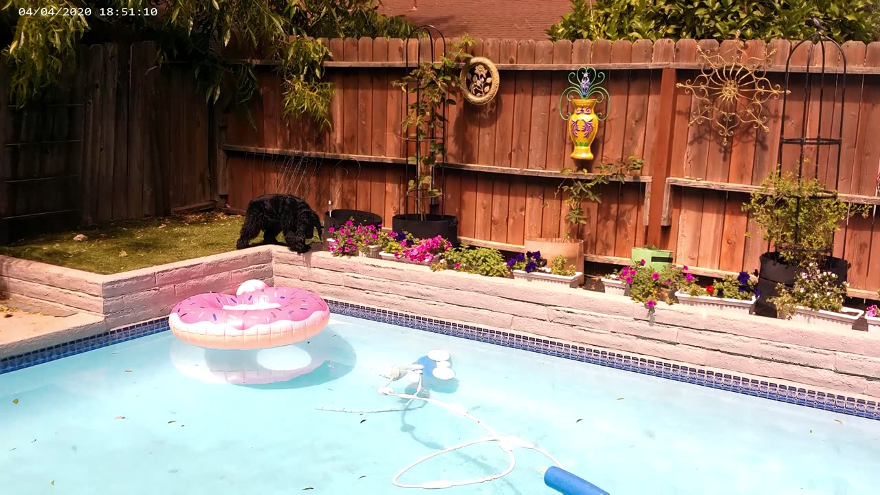 MacInerny takes on THE DREADED POOL SKIMMER