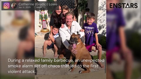 Sean Lowe attacked by his dog twice in 12-hour