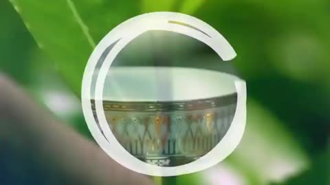 Experience the Richness of Ceylon Tea in Sri Lanka