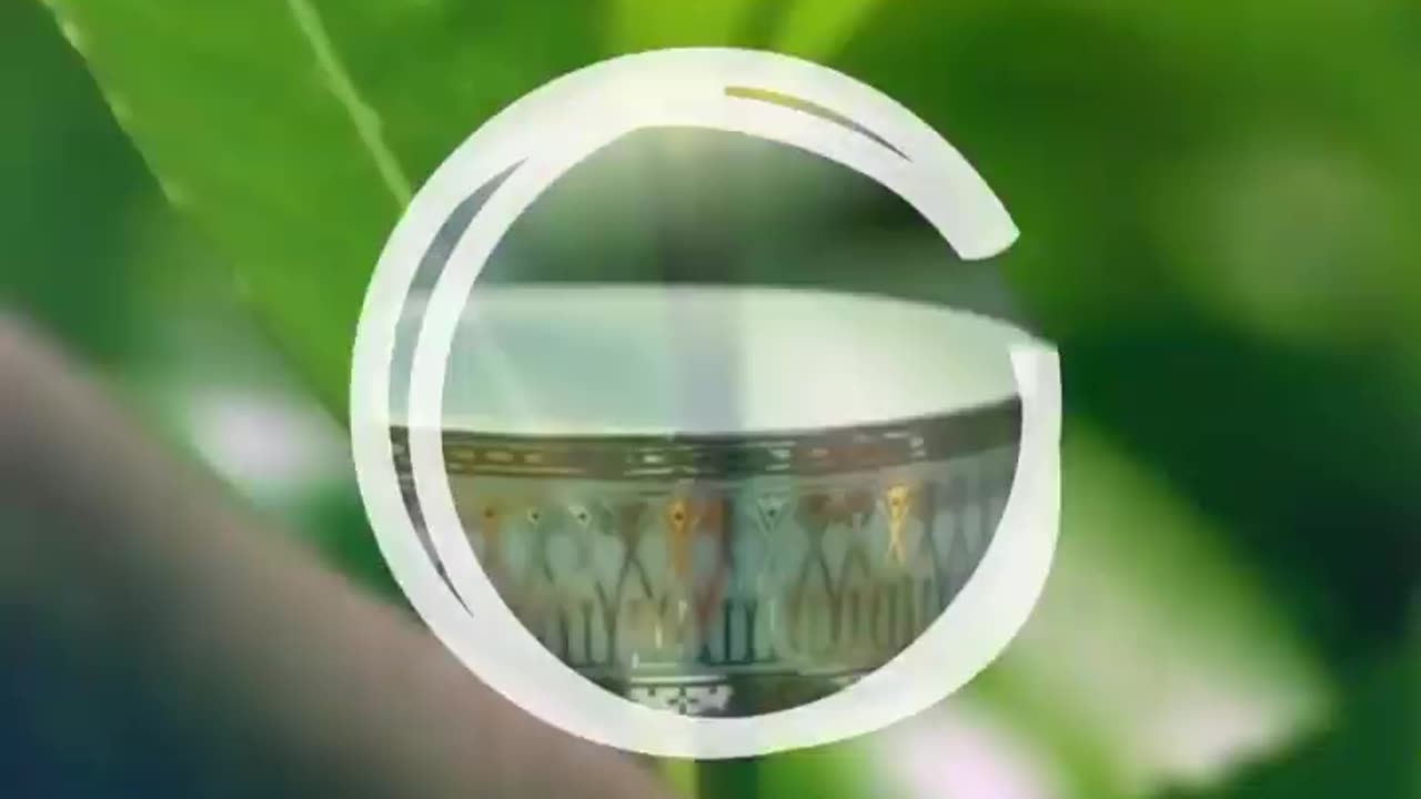 Experience the Richness of Ceylon Tea in Sri Lanka