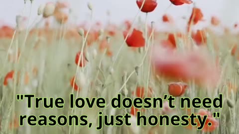 Love quotes