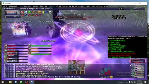 Playing Final Fantasy XI Online