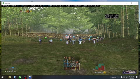 Playing Final Fantasy XI Online