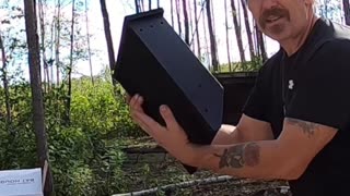 Building a Bat House_ Easy Steps for a Bat-Friendly Home! #climbingtrees #fallingatree