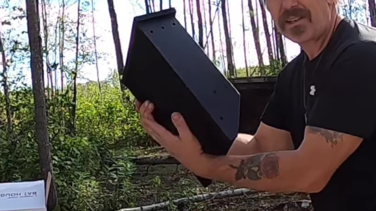Building a Bat House_ Easy Steps for a Bat-Friendly Home! #climbingtrees #fallingatree