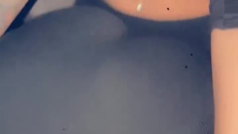 Carnival November 2025