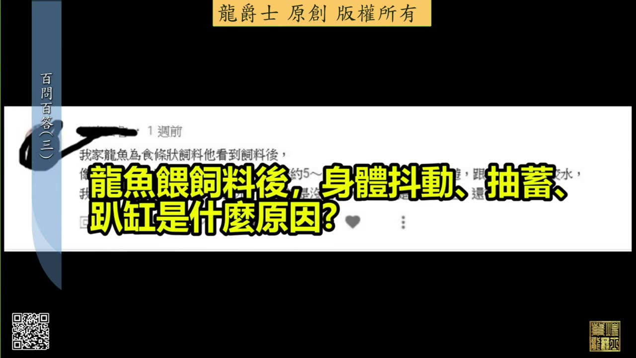 【龍爵士】千問千答 Q16 龍魚餵飼料後，身體抖動、抽蓄、趴缸是因為什麼原因