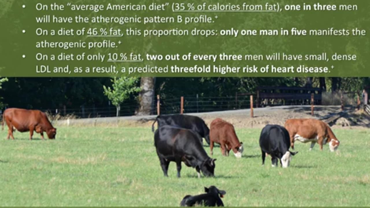 Beef: The REAL Health Food - Full Presentation (Peter Ballerstedt)