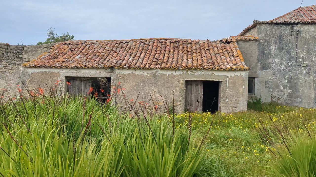 The RUINS