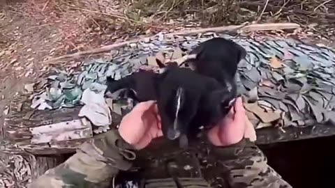 Ukraine war 11/12/25 Modern warfare in 2025